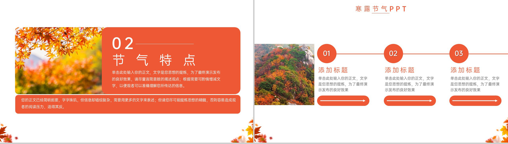 橙色简约小清新传统节气寒露节气特点介绍PPT模板-4