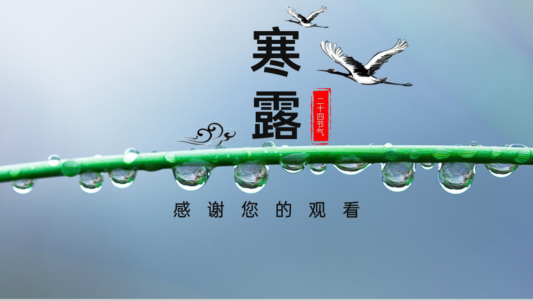蓝色二十四节气之寒露节气习俗介绍专题PPT模板-14