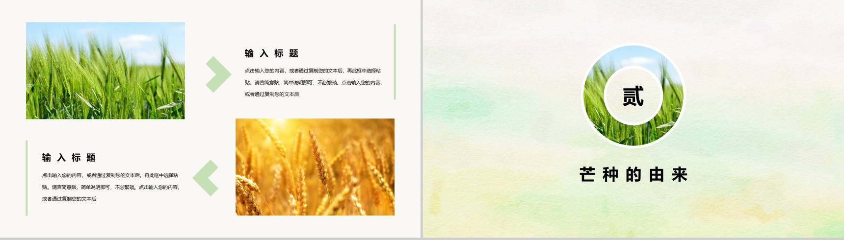 绿色简约清新二十四节气之芒种PPT模板-4