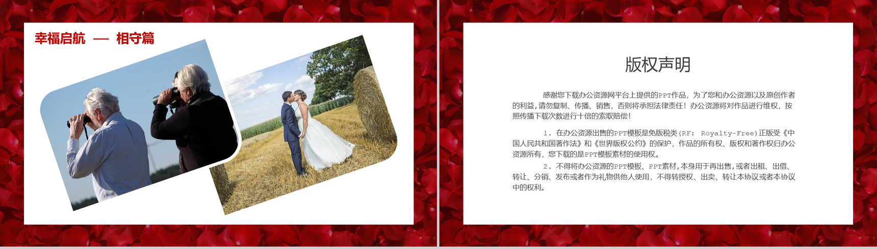 玫瑰浪漫七夕情人节表白相册PPT模板-11