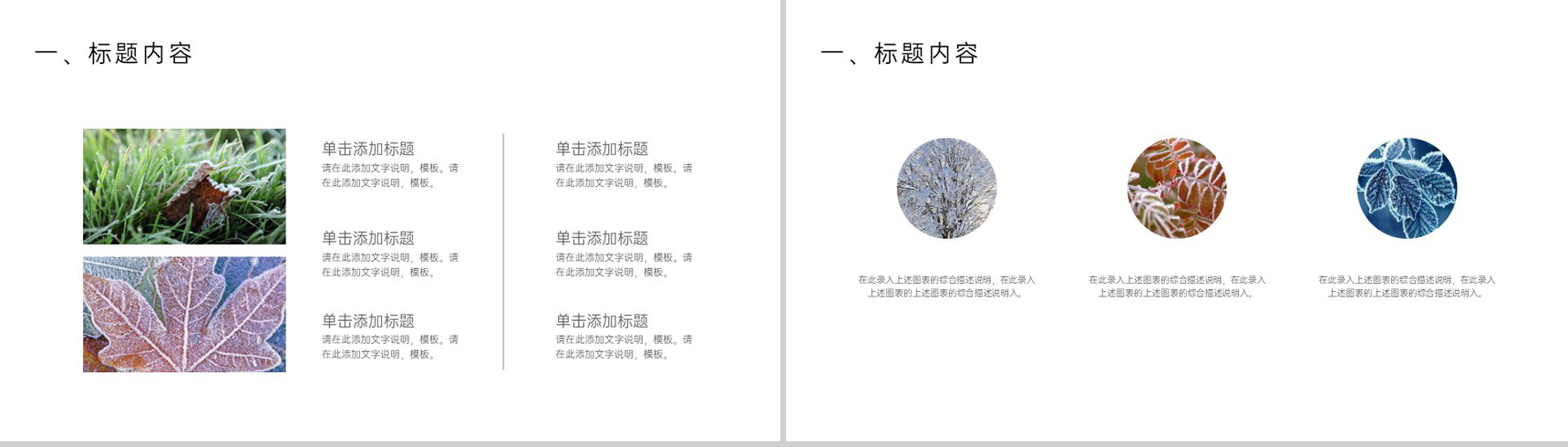 淡蓝简洁小清新传统节气寒露主题计划述职报告PPT模板-4