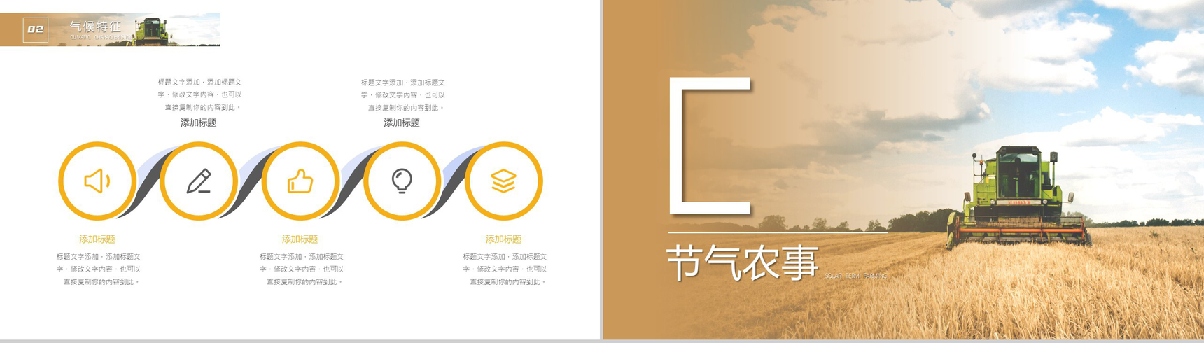 简约风格传统二十四节气芒种介绍PPT模板-6