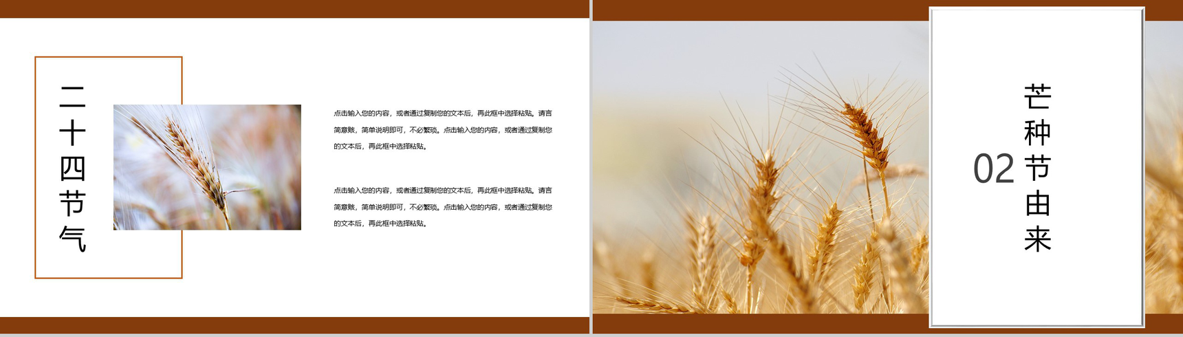 白色简约风芒种习俗介绍PPT模板-4