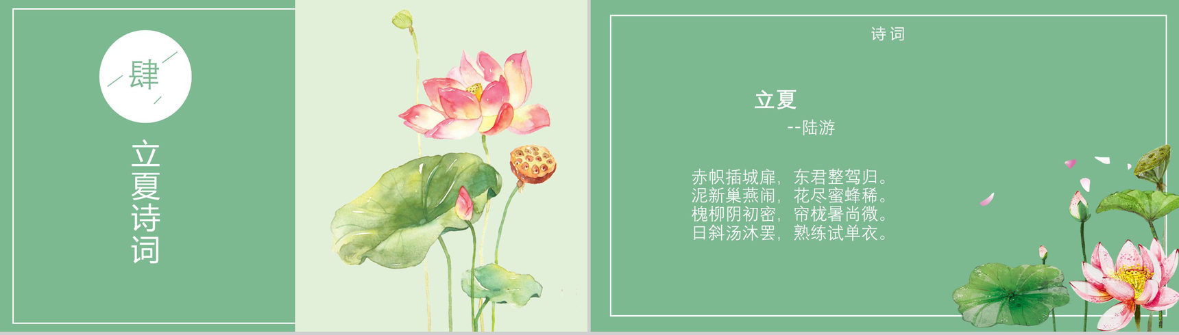 清新荷花绽放二十四节气立夏PPT模板-10