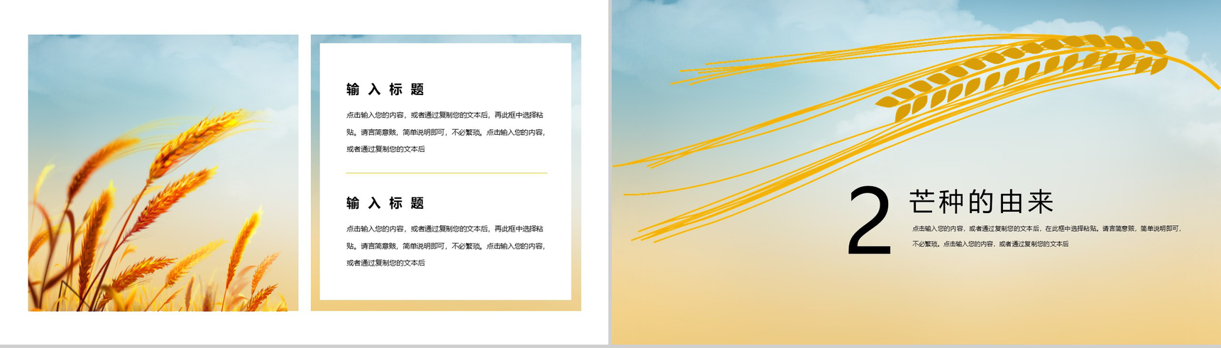 二十四节气之芒种PPT模板-4