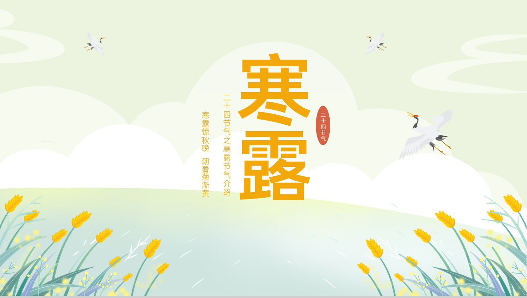 黄色小清新二十四节气寒露节气介绍寒露的三候PPT模板-1