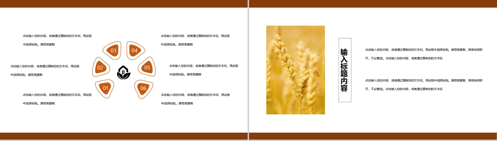 白色简约风芒种习俗介绍PPT模板-9