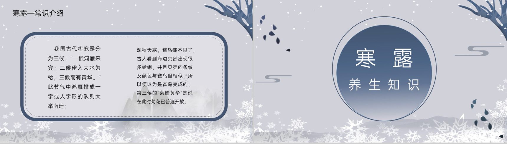 蓝灰渐变色传统节气之寒露的常识介绍PPT模板-5