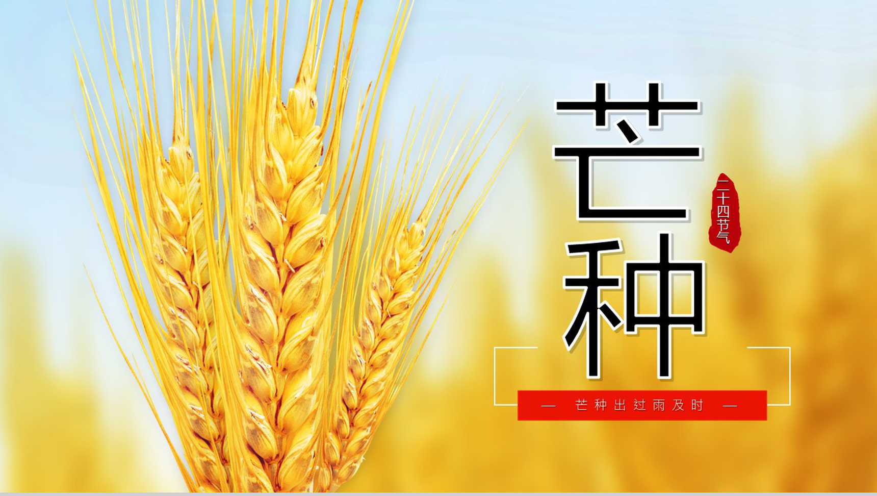 关于中国二十四节气之芒种节日的介绍PPT模板-10