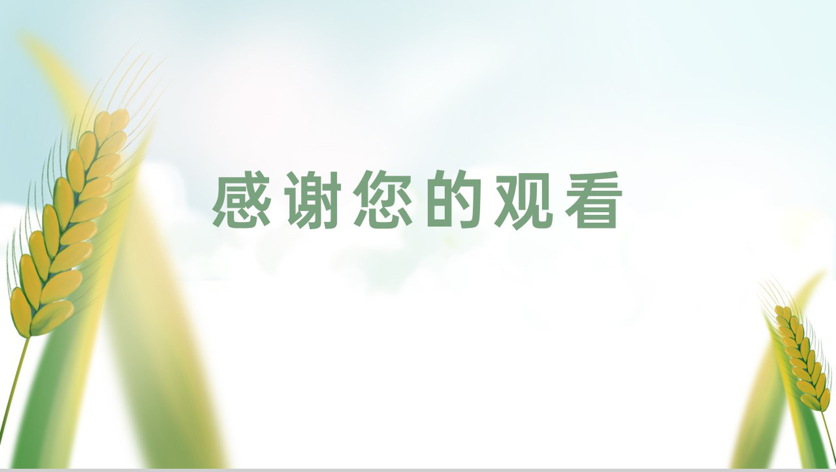 浅绿色简约风麦穗收获二十四节气夏至介绍由来PPT模板-10