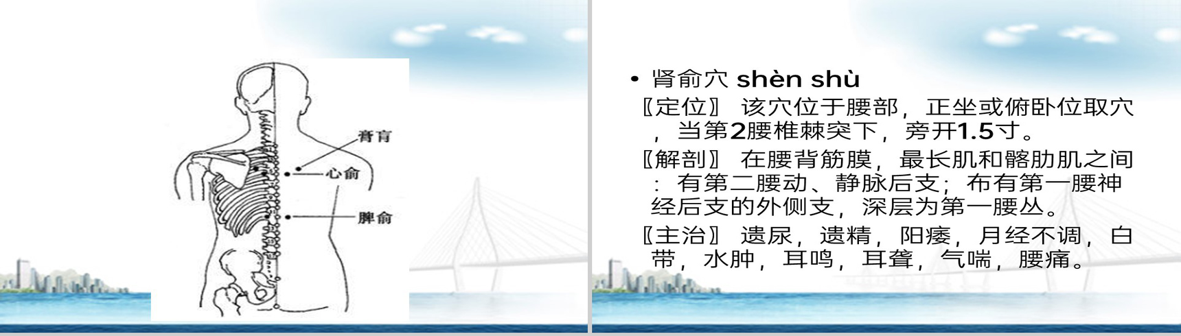 白色简约风冬病夏治三伏贴技术操作规范PPT模板-27