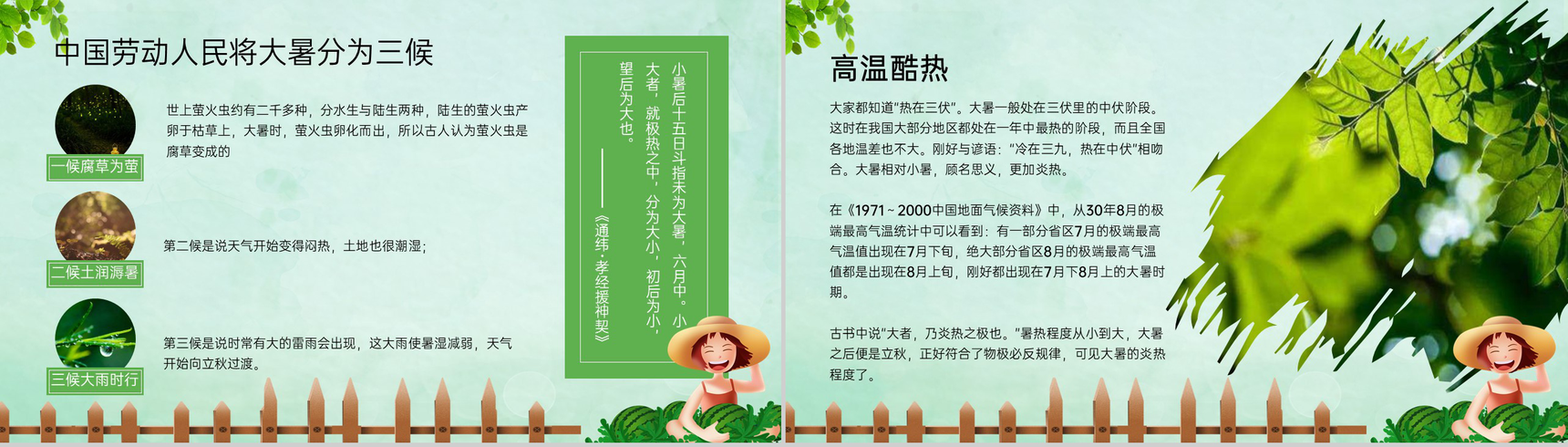 绿色卡通风中国传统文化二十四节气大暑宣传介绍PPT模板-4