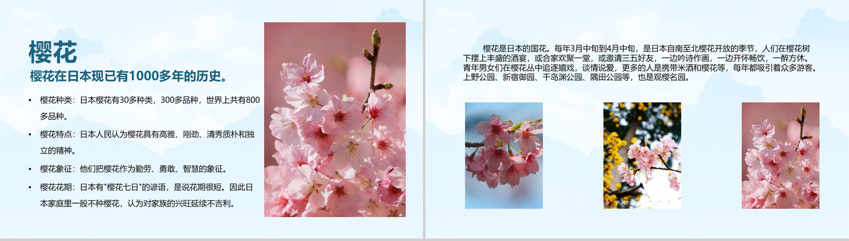 唯美清新浪漫日本樱花节PPT模板-2