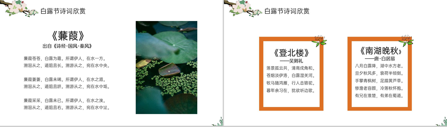 灰橙中国风传统二十四节气白露主题教育班会PPT模板-12