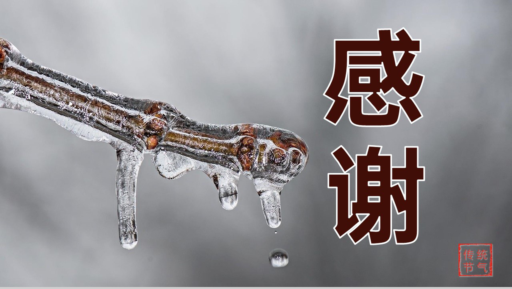 灰色简约风二十四节气立冬主题工作总结汇报PPT模板-9