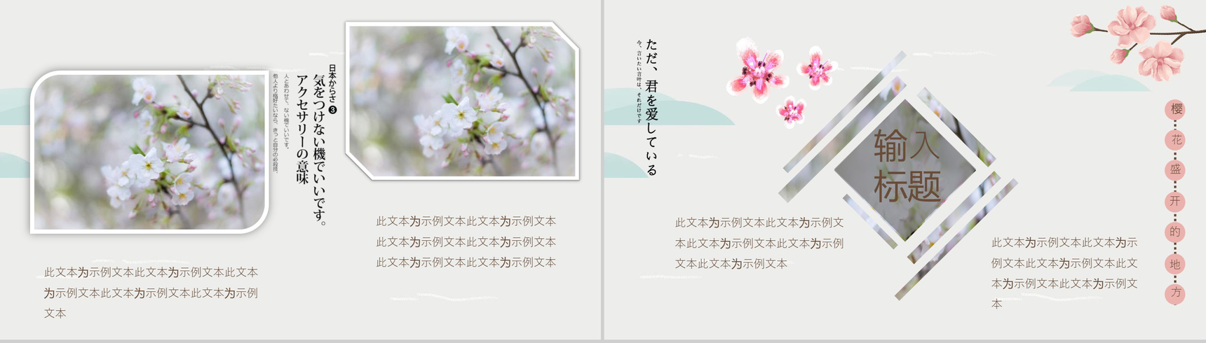 樱花节日本赏樱之旅策划方案PPT模板-4