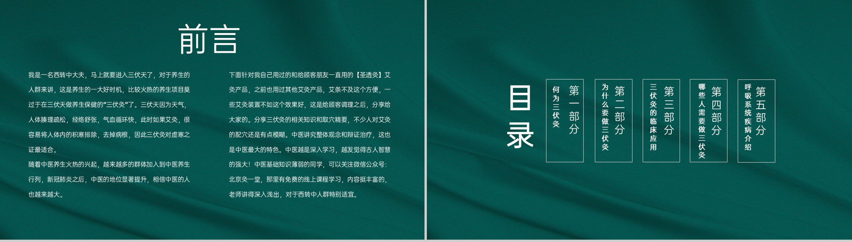 绿色简约风春夏养阳冬病夏治艾灸调理三伏灸PPT模板-2