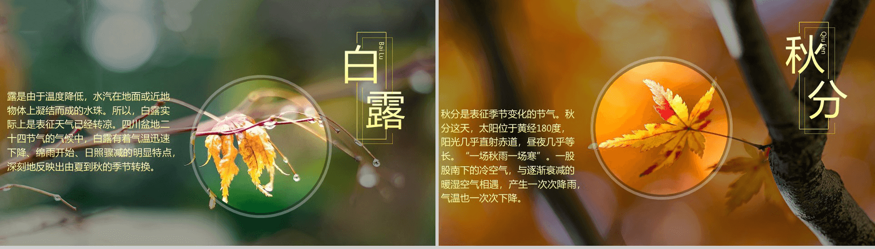 唯美大气商务二十四节气演讲介绍PPT模板-9
