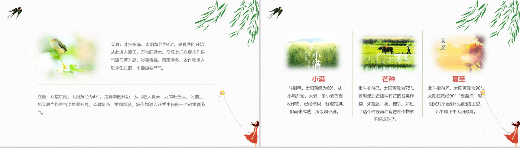 清新唯美学生中华二十四节气教学PPT模板-5