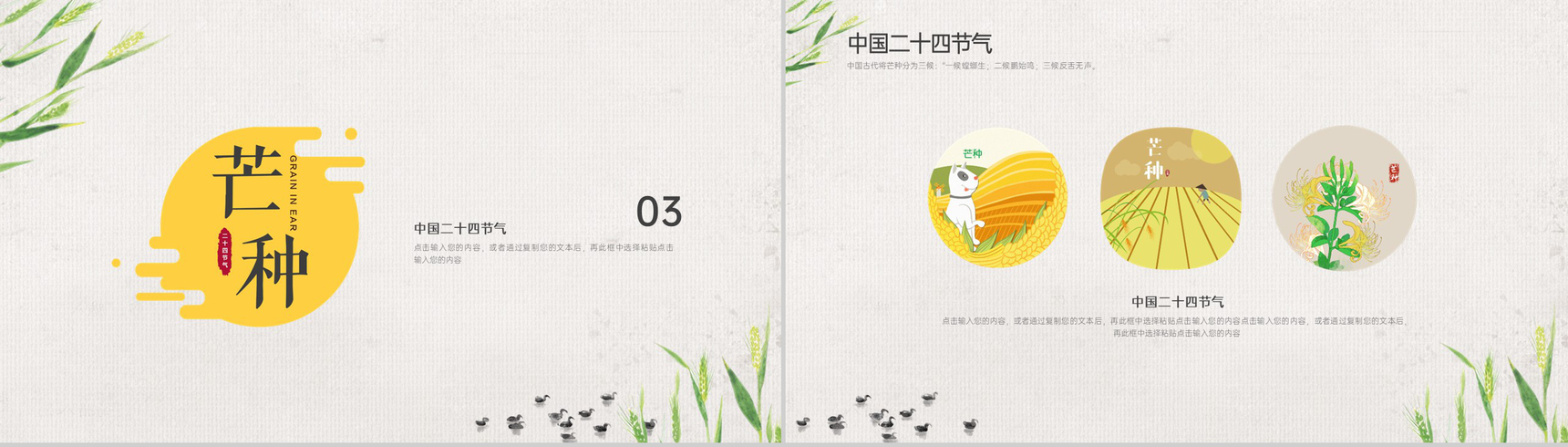 灰色卡通风二十四节气之芒种由来简介通用PPT模板-6