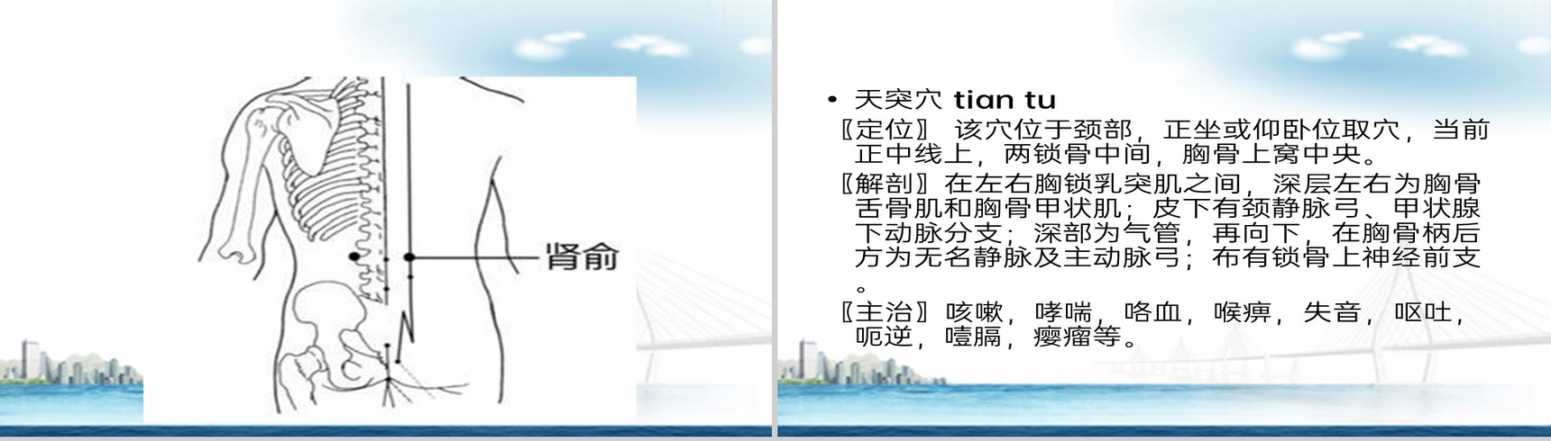 白色简约风冬病夏治三伏贴技术操作规范PPT模板-28