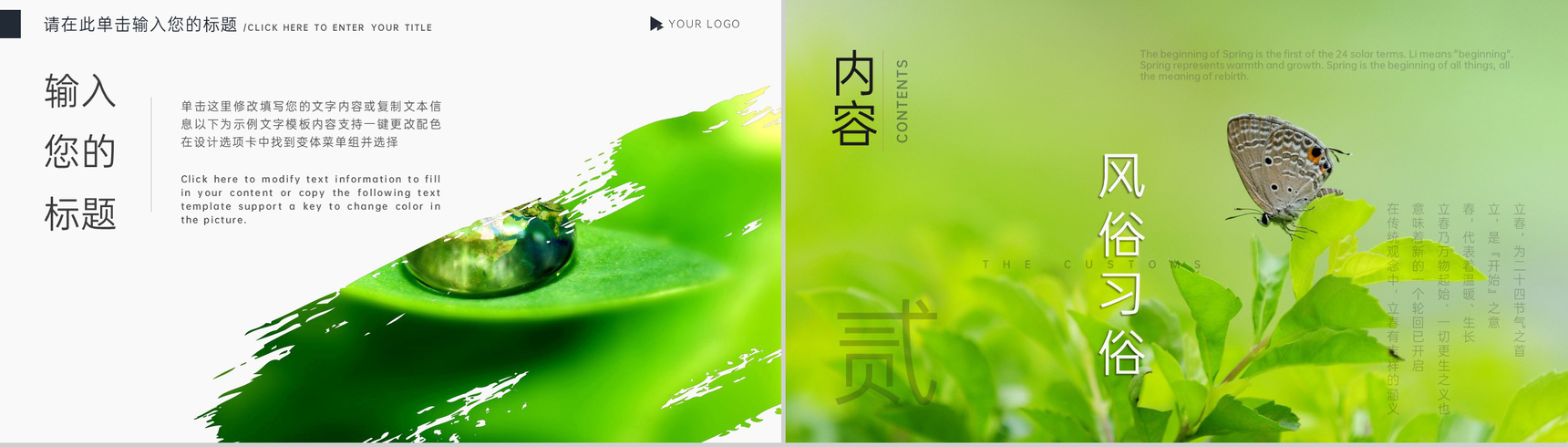 绿色简约风立春节气传统文化介绍PPT模板-4