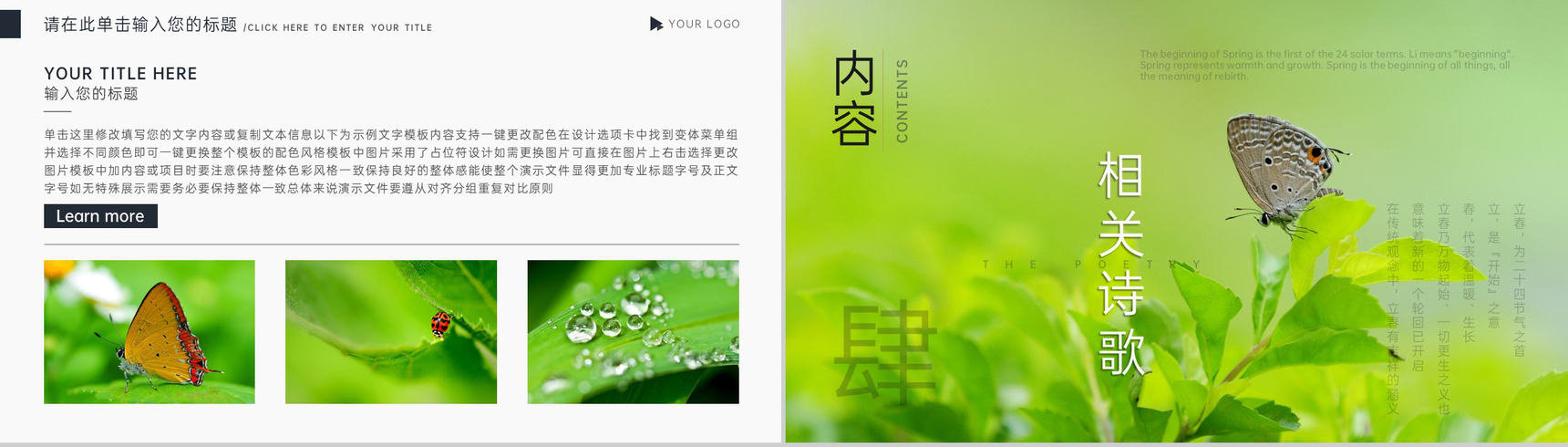绿色简约风立春节气传统文化介绍PPT模板-8