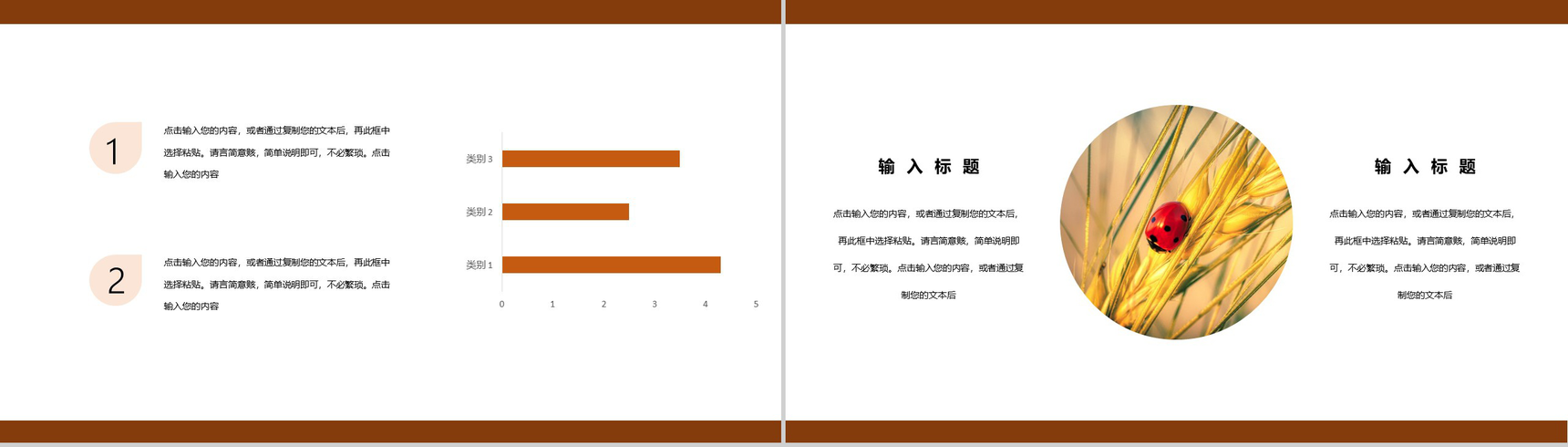 白色简约风芒种习俗介绍PPT模板-7