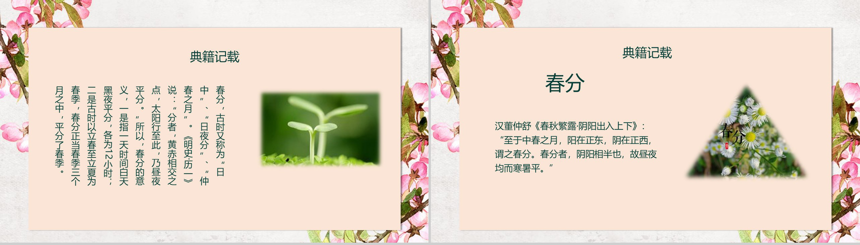 3.21传统节日春分节气主题班会PPT模板-9