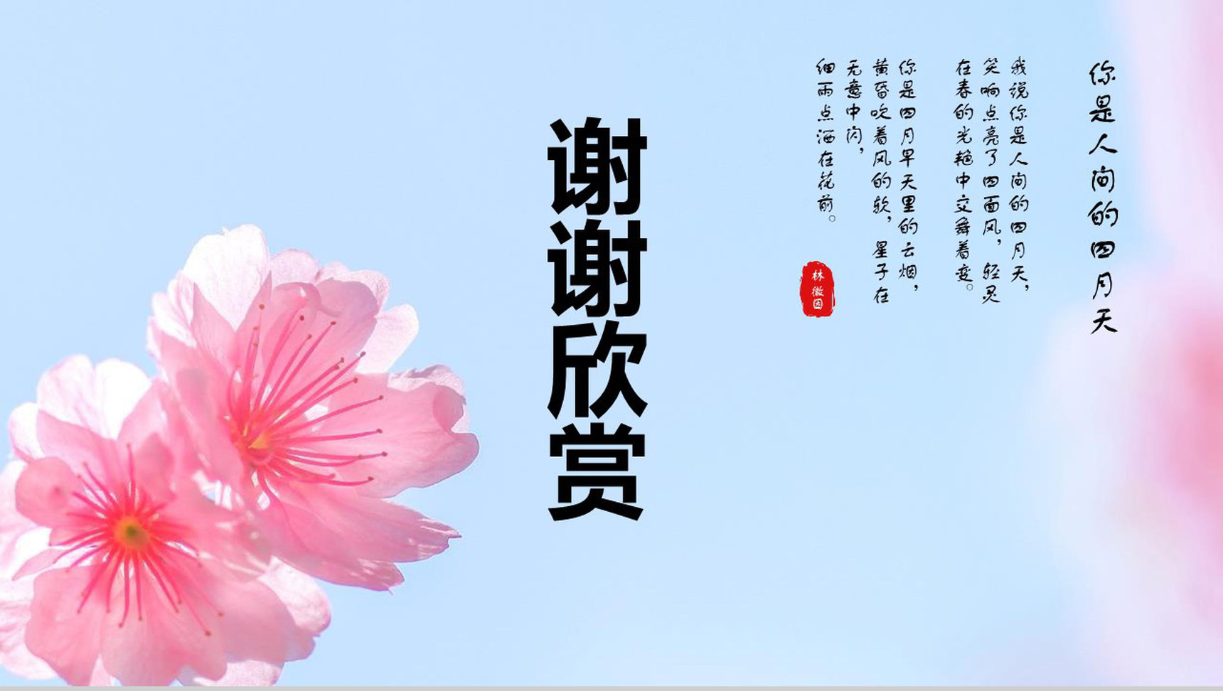你是人间的四月天樱花季旅游策划PPT模板-13