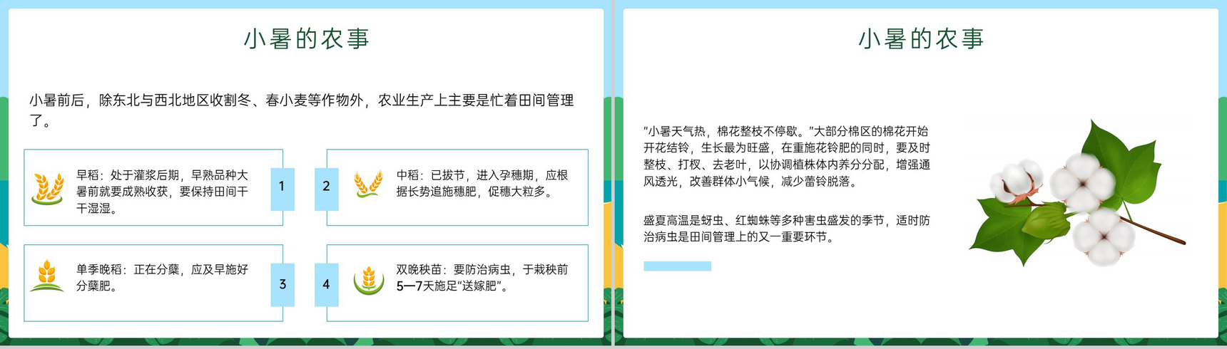 蓝绿色卡通风传统二十四节气小暑节气介绍习俗PPT模板-6