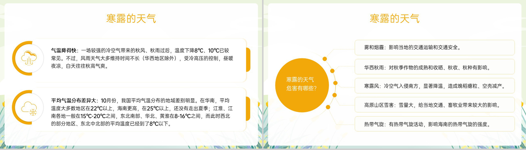 黄色小清新二十四节气寒露节气介绍寒露的三候PPT模板-5