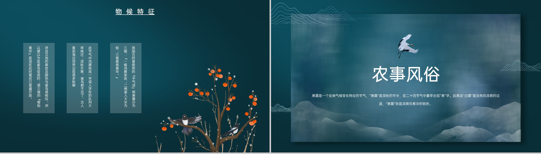 蓝色中国风传统节气介绍之寒露的物候特征PPT模板-6