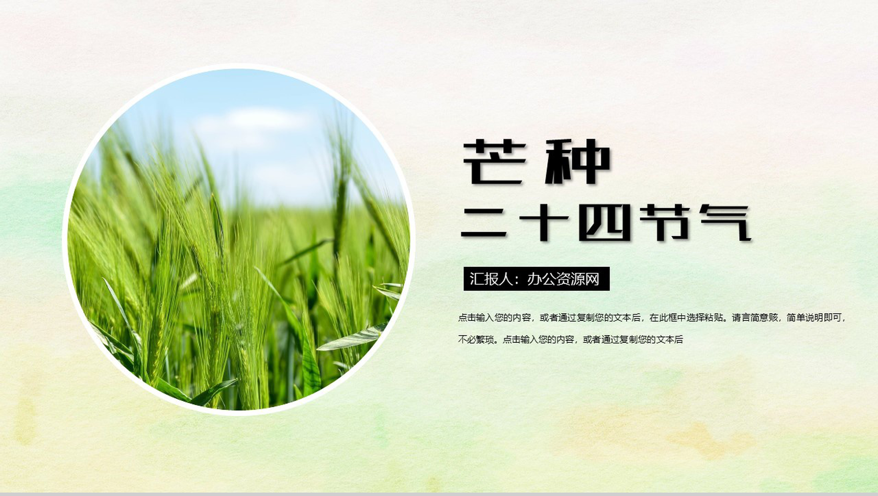 绿色简约清新二十四节气之芒种PPT模板-1