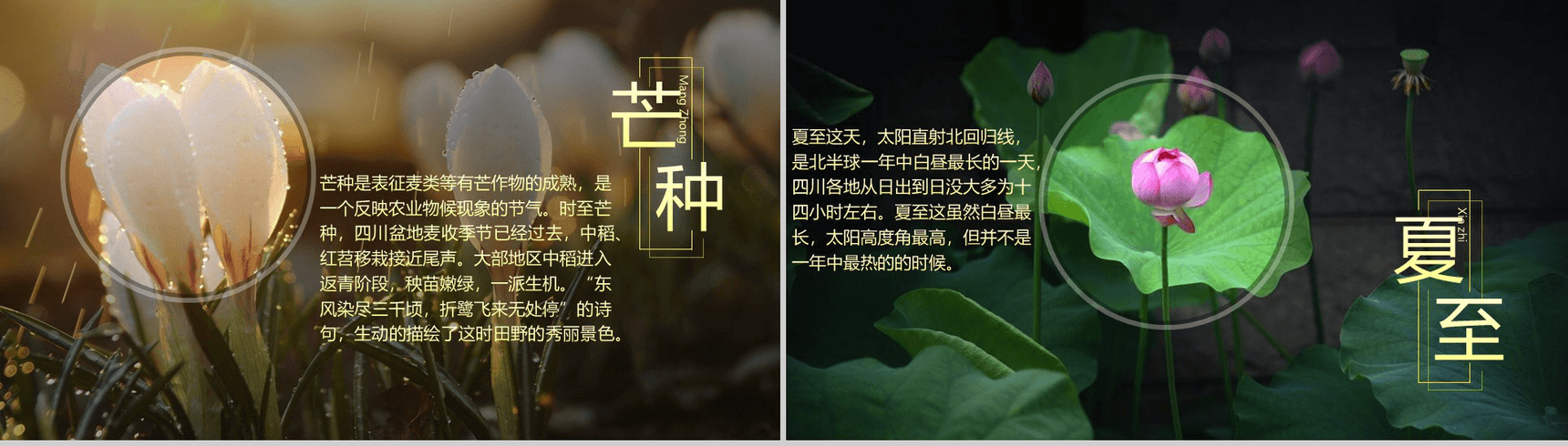 唯美大气商务二十四节气演讲介绍PPT模板-6