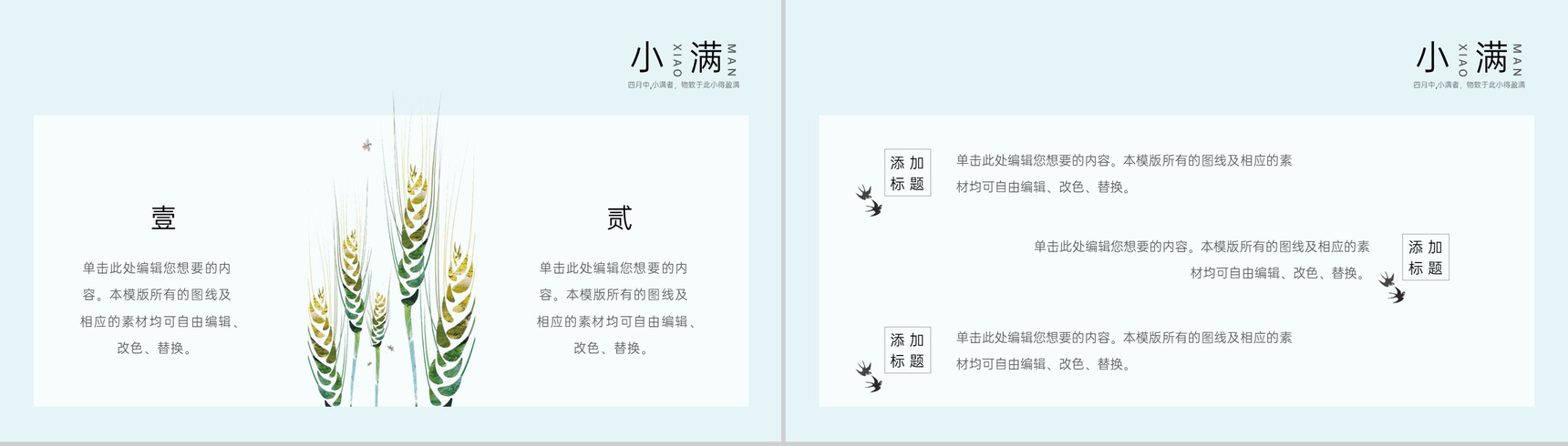 浅蓝色中国风二十四节气之小满节气介绍教育课件PPT模板-6