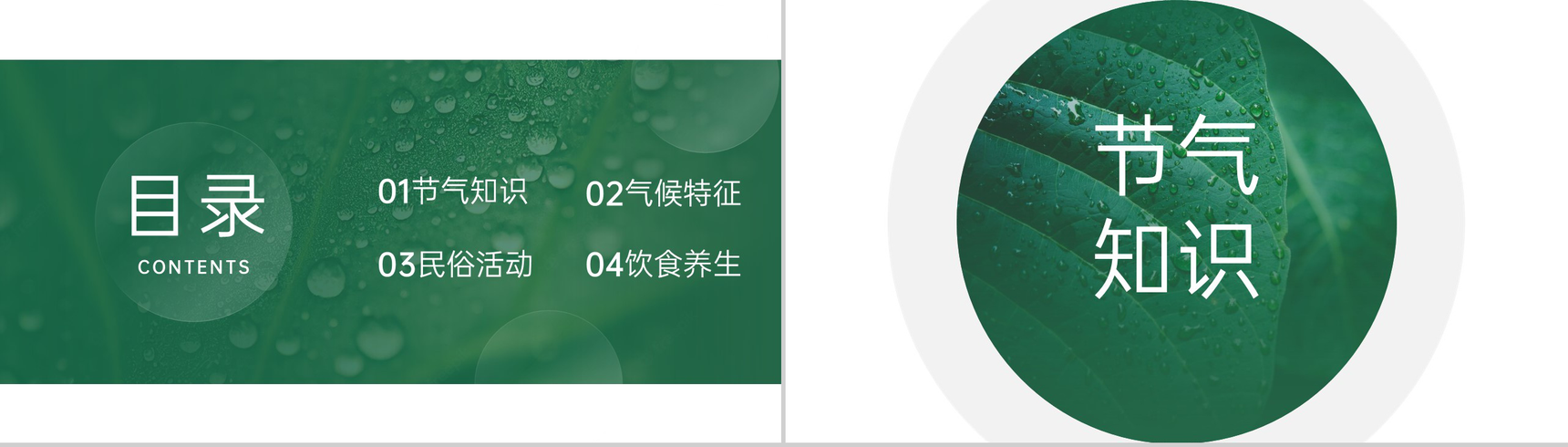 绿色简约小清新风二十四节气介绍之寒露的由来PPT模板-2