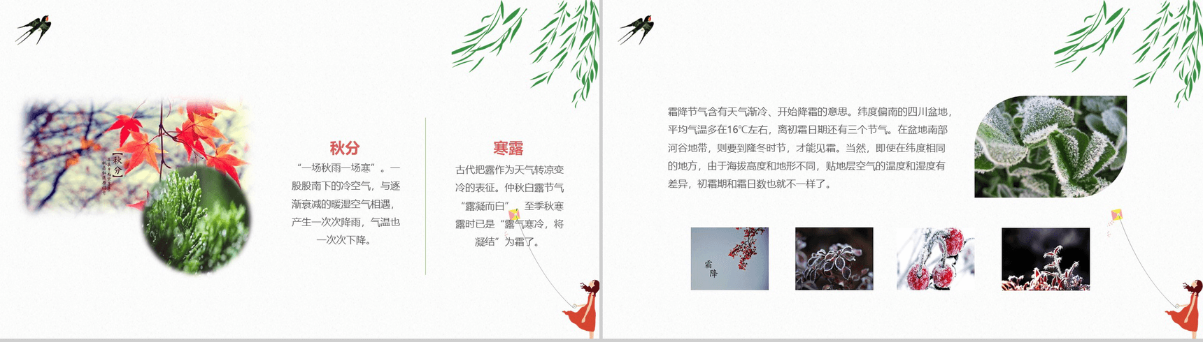 清新唯美学生中华二十四节气教学PPT模板-8
