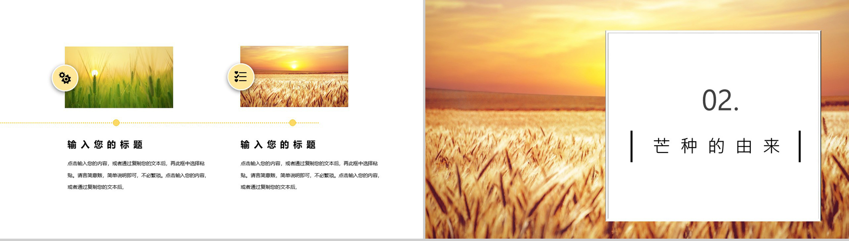 24节气芒种习俗由来介绍PPT模板-4
