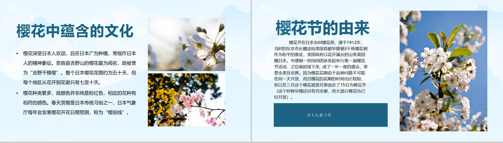唯美清新浪漫日本樱花节PPT模板-3