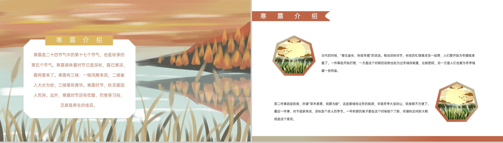 橙色手绘风传统节气寒露介绍主题课件PPT模板-3