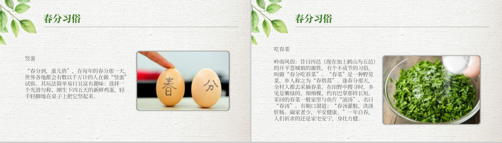 绿色清新简约春分节气材料收集PPT模板-4