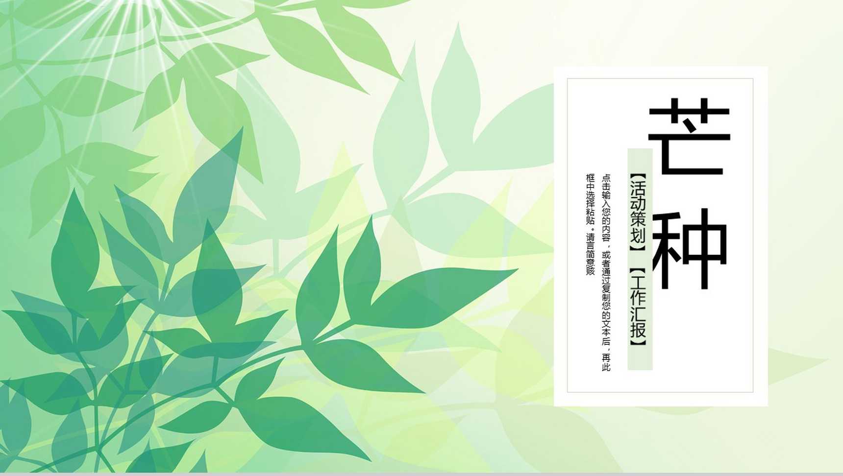 小清新芒种节气介绍PPT模板