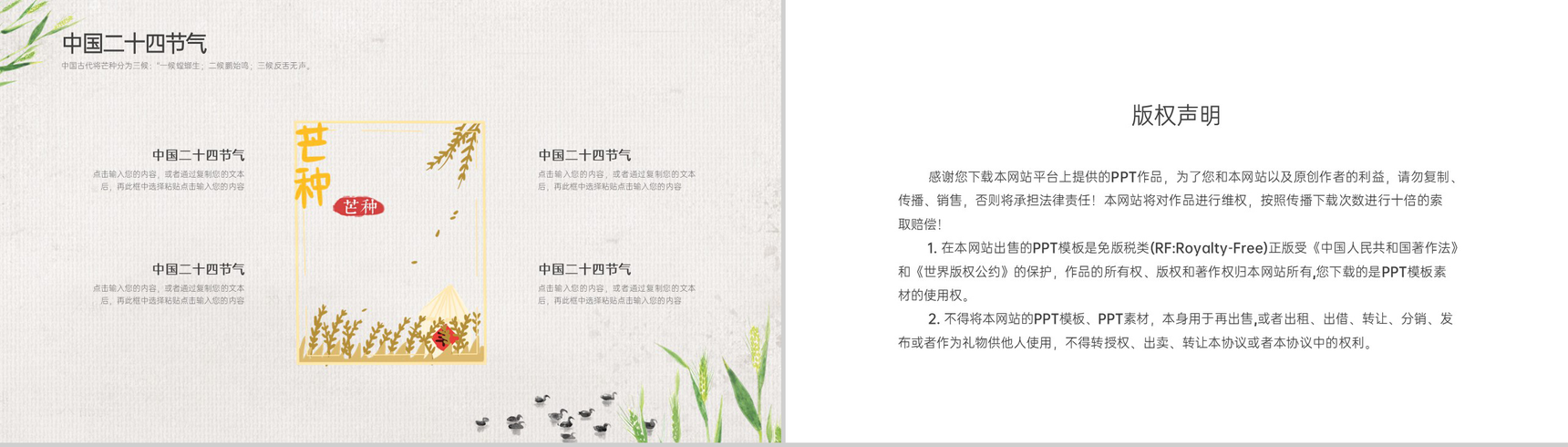 灰色卡通风二十四节气之芒种由来简介通用PPT模板-8