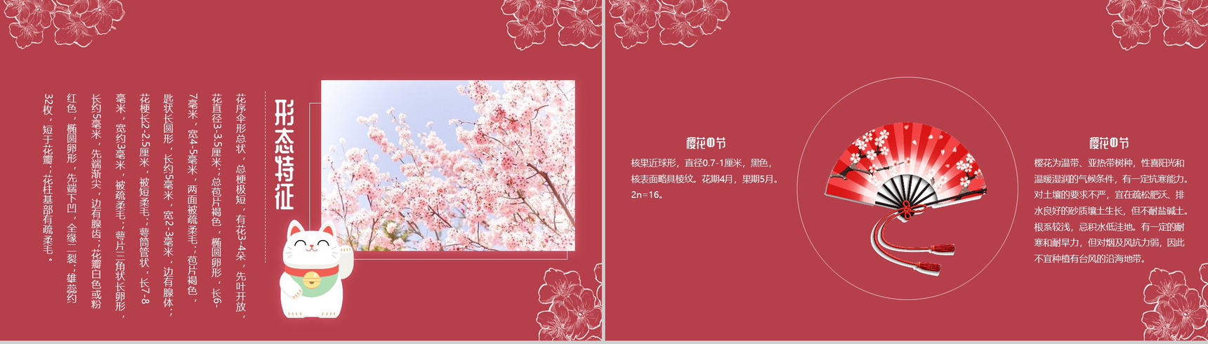 手绘风格醉美樱花PPT模板-5
