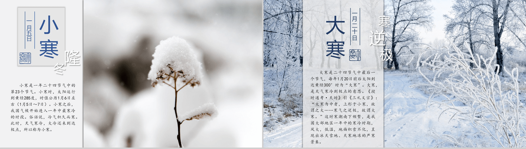 简约中国风动态二十四节气介绍PPT模板-13
