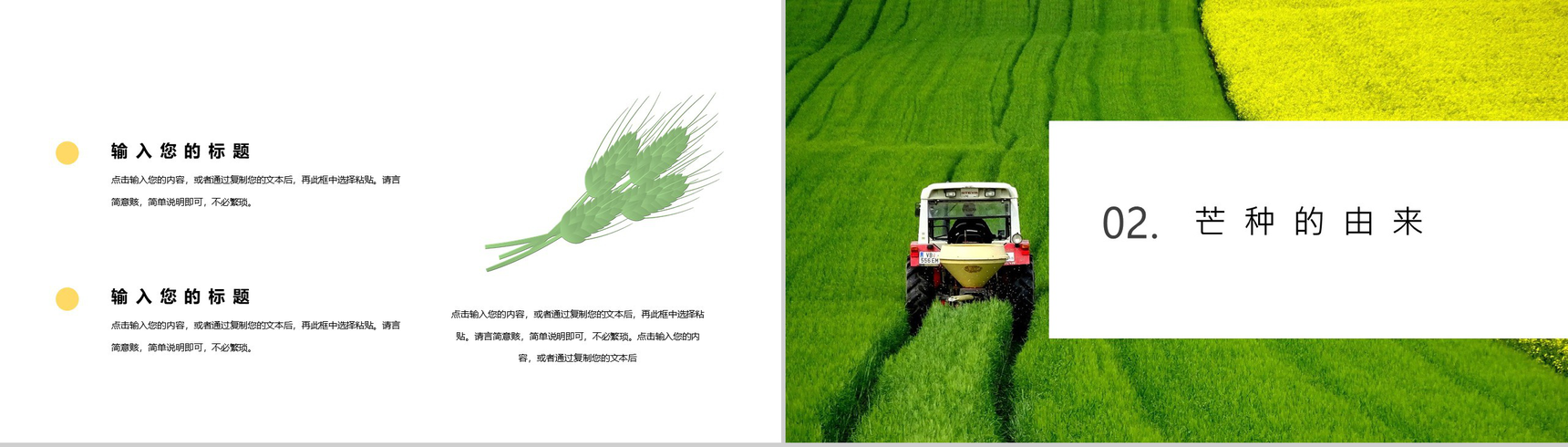 简约风芒种节日介绍PPT模板-4