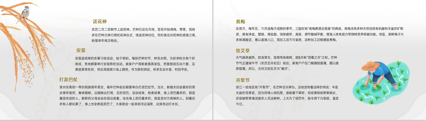 黄色中国风二十四节气之芒种文化与养生PPT模板-7