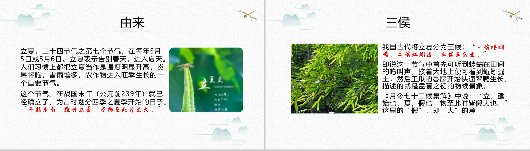 白色简约中国风传统节气立夏节日介绍PPT模板-2
