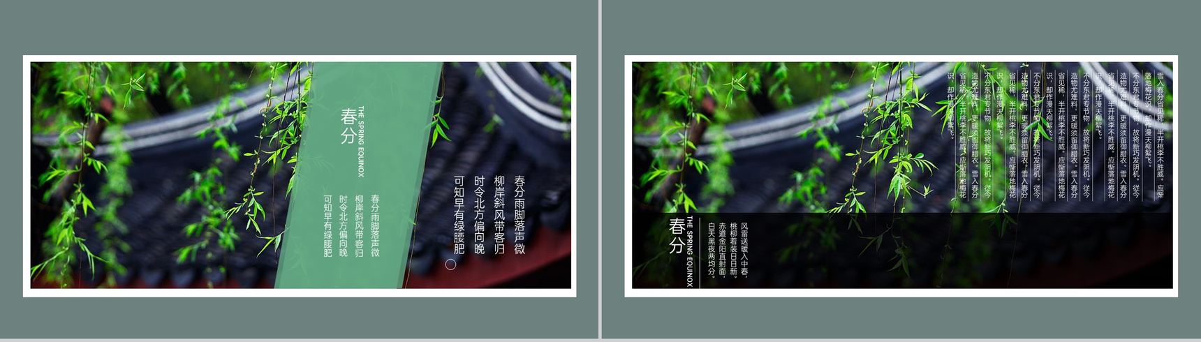 青色简约小清新二十四节气之春分介绍PPT模板-4